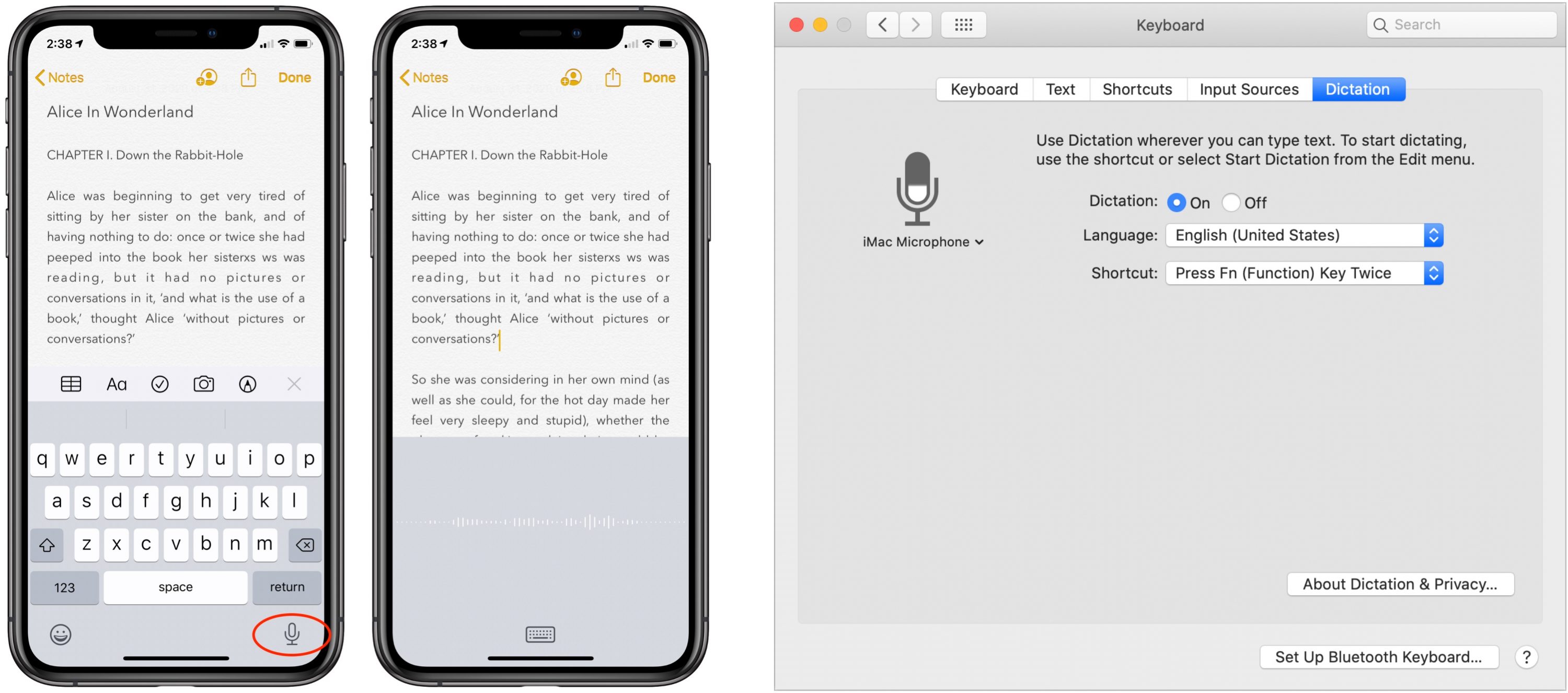 best dictation for mac osx 2018